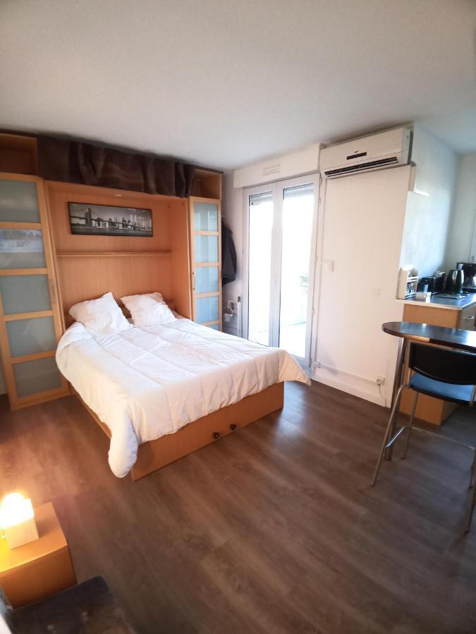 Studio Santa Monica - Climatise - Piscine - Parking Tuluza Zewnętrze zdjęcie