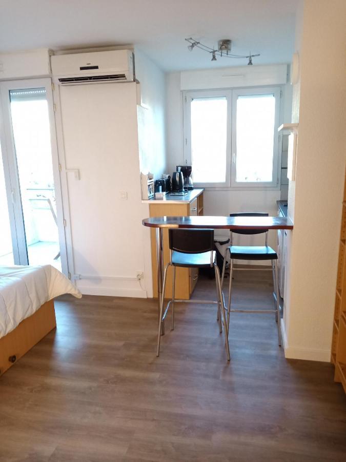 Studio Santa Monica - Climatise - Piscine - Parking Tuluza Zewnętrze zdjęcie